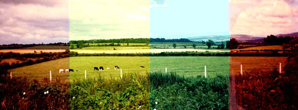 Yorkshire