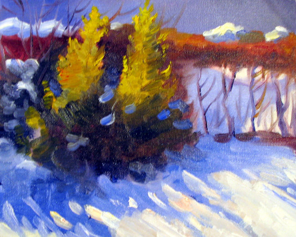 Caught in the remaining winter sunlight