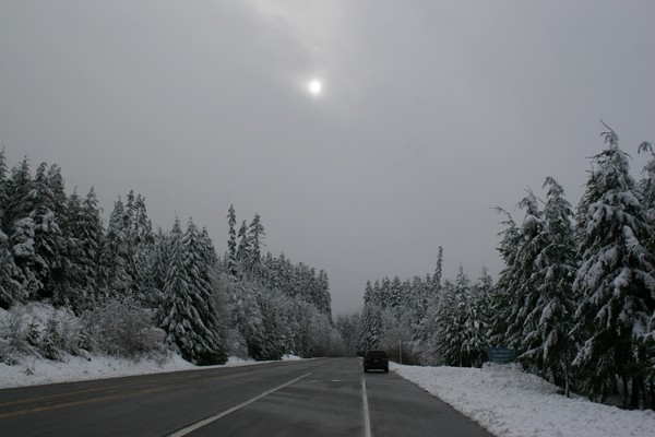 Wishing I Was There!!!