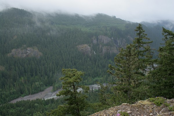 Gray Day