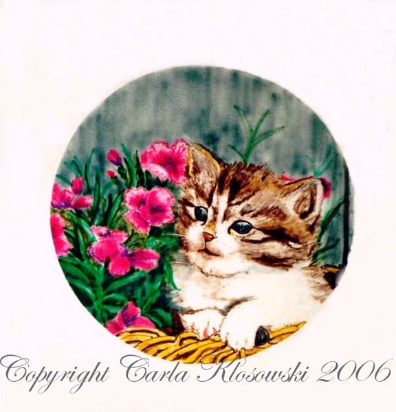 Kitten in Flowers
