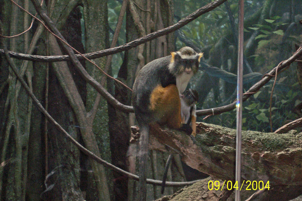 Mother Feeding Her Baby