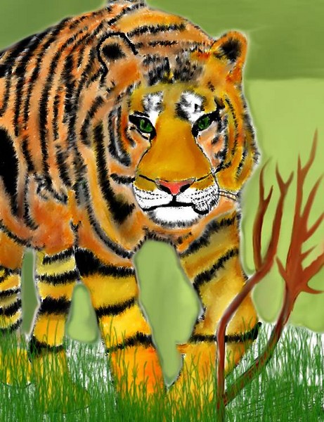 Hungry Tiger