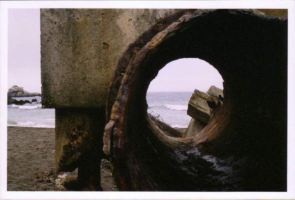 Smell of the Sea