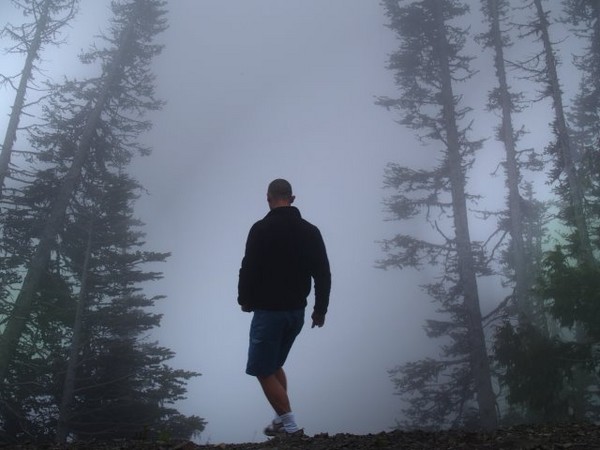 Step into the fog