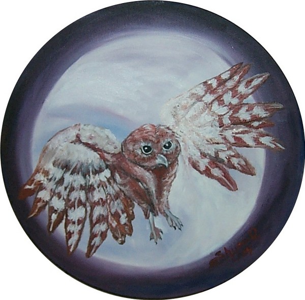 Flight of Owl