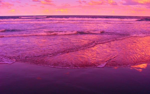 Healing Oceans
