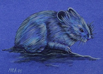 Night Mouse (ACEO)