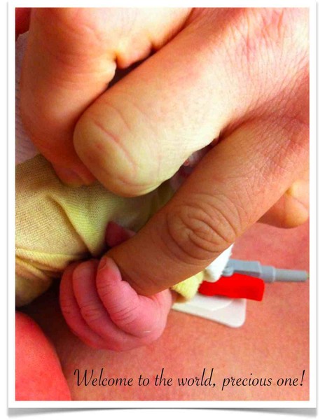Our Granddaughter: Sofia Charlotte