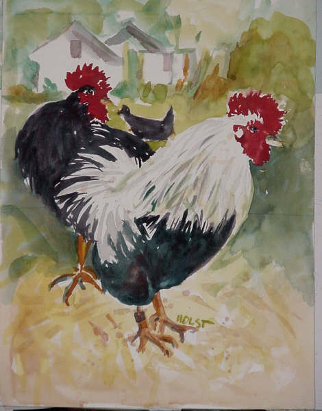Too Many Roosters