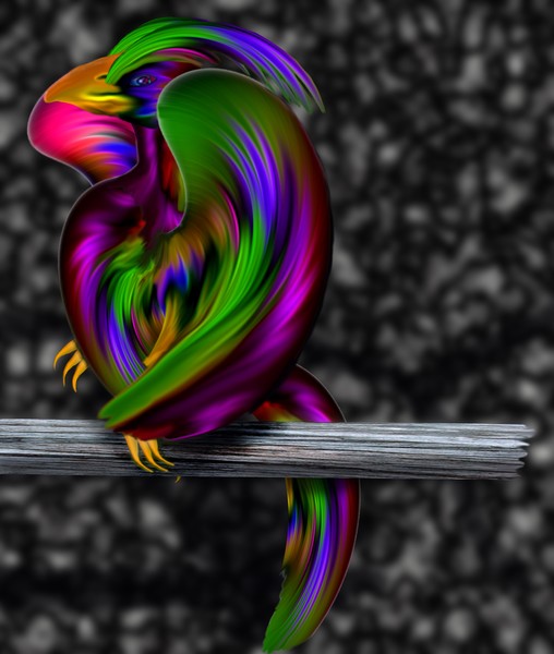 Neon Feathers
