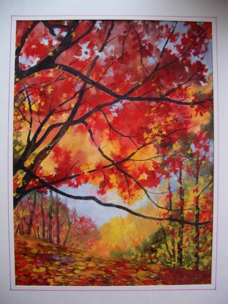 Autumn Blaze