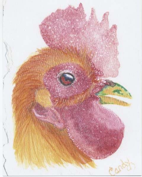 County Fair Rooster