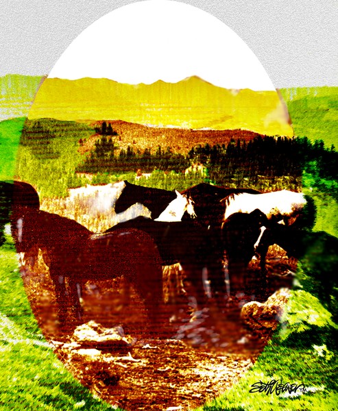 High Plains Horses
