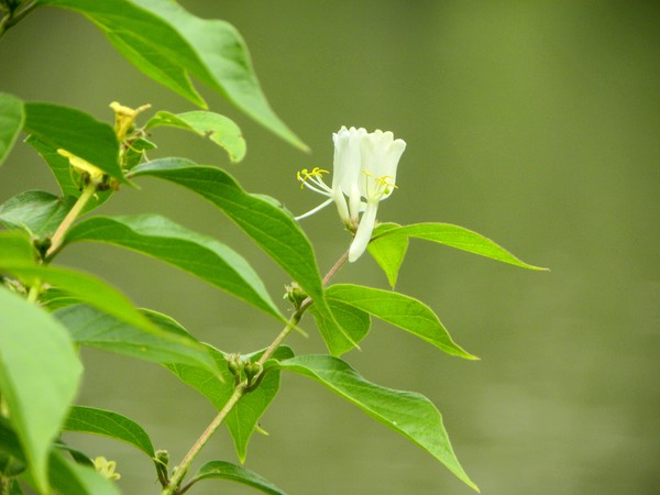 My photo blog_6 image 6.32
