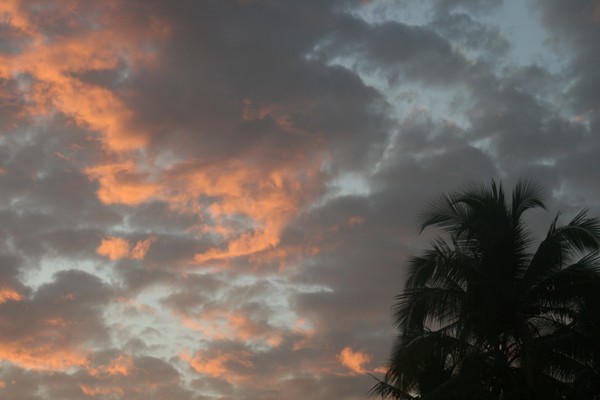 Tropical Sunset