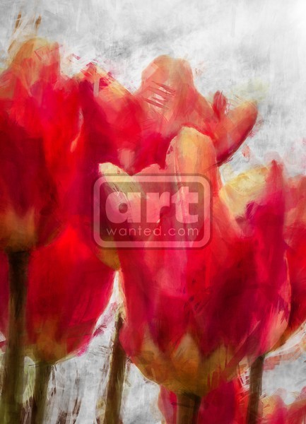 Red Tulips