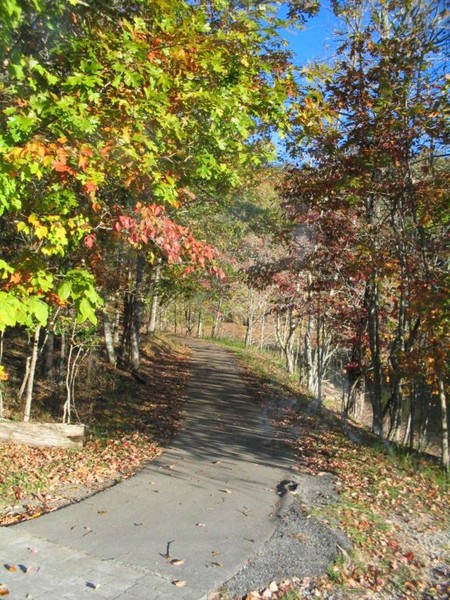Fall Path