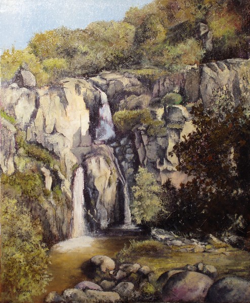 Cascada en la Cicutina-Fermoselle