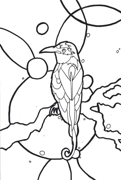 Bird Study 1