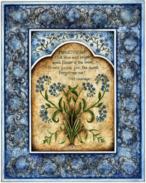 Forget-me-not