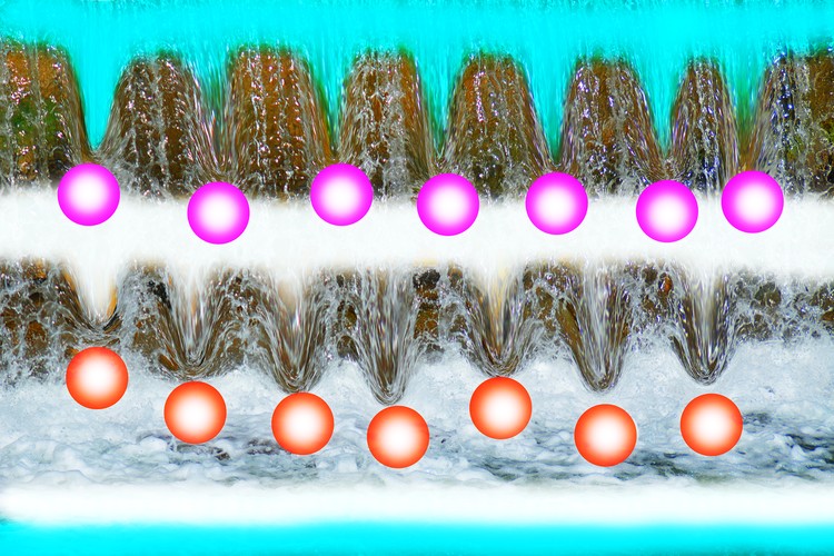 Joyful water spirits 