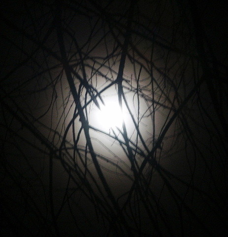 Glimpse
