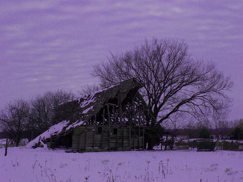 winter on the farm