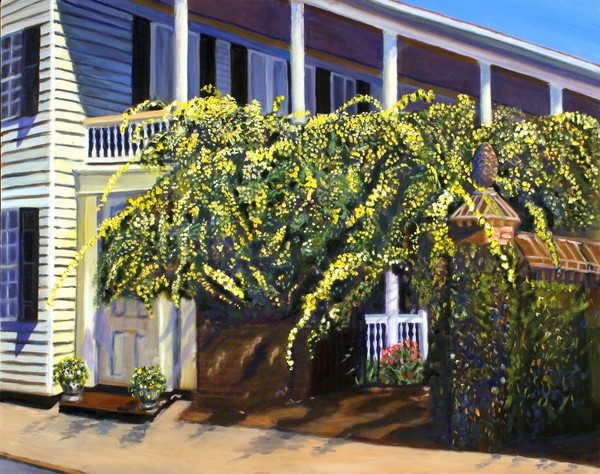 Lady Banks Rose, Charleston SC