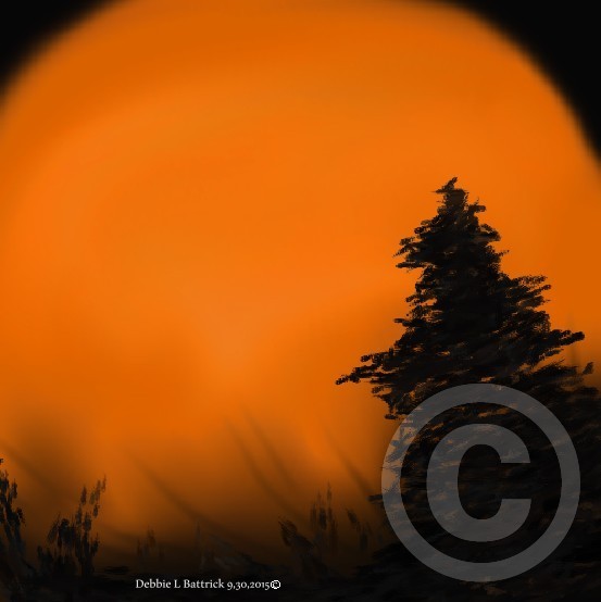 The Bright Orange Moon