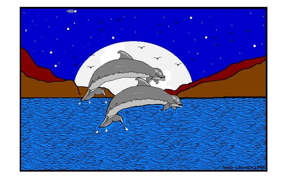 MY DOLPHINS