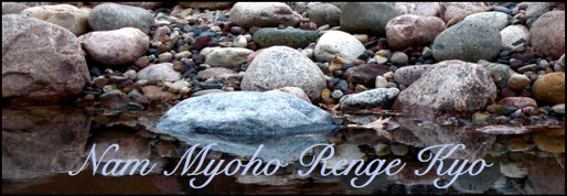 Nam Myoho Renge Kyo