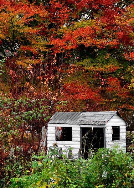 playhouse