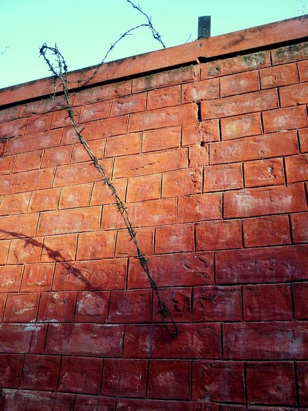 Barb Wire