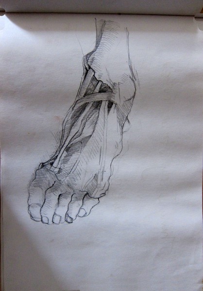 Autopsy Study FOOT