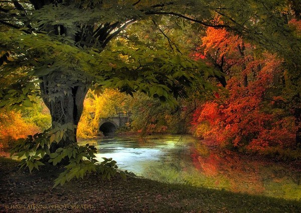 Autumn..