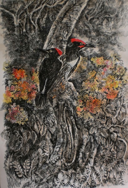 white bellied woodpeckers1