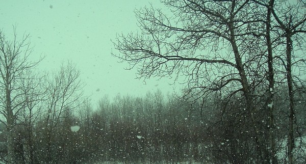 Winters last snow