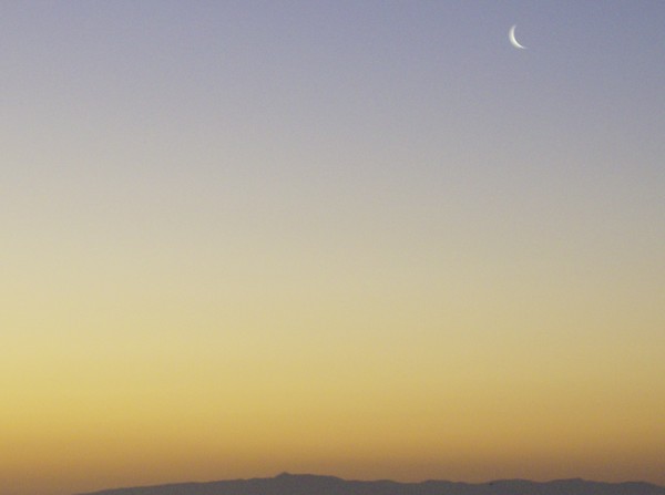 Good Morning Moon