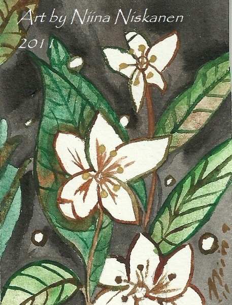 forrest star -ACEO