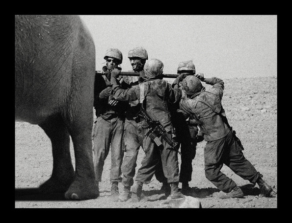 Make love Not war...