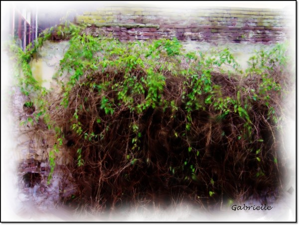 The old Wall