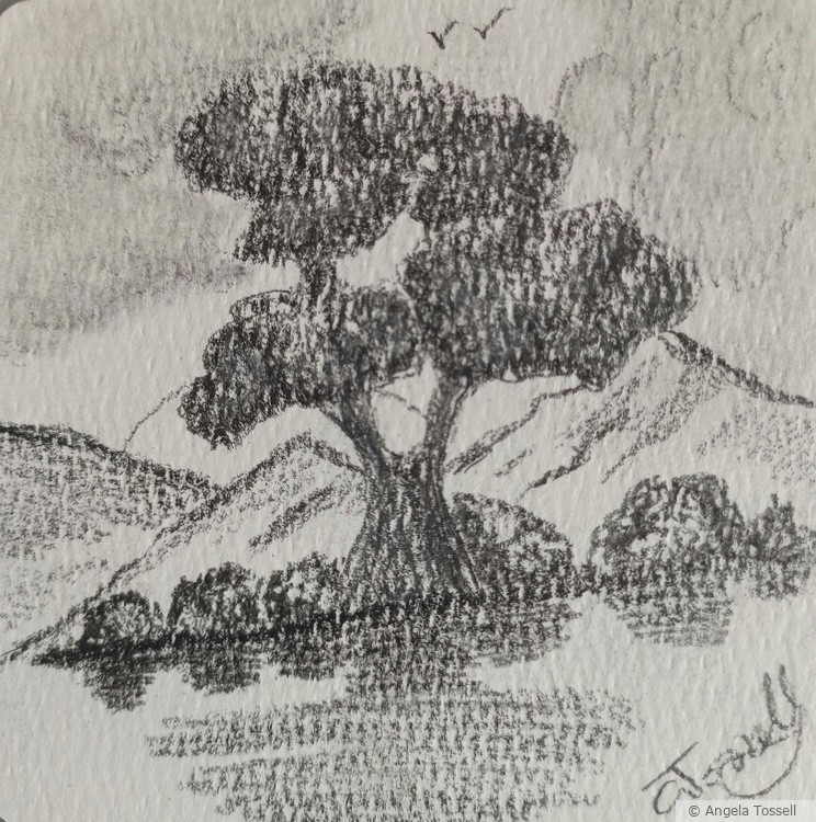 Tree scene 