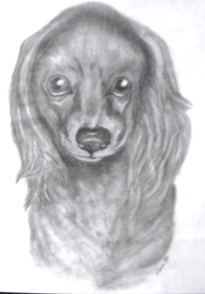 Lady