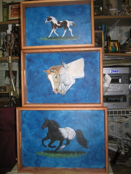 Horse Trays