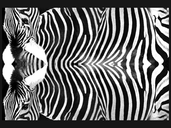 LINES 