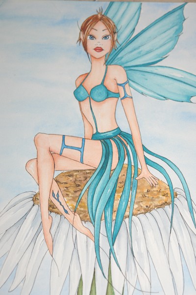 Camomilia