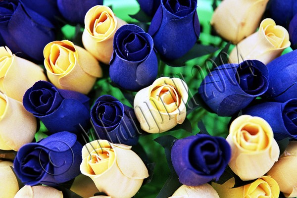 Blue & Cream Roses