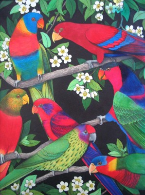 Lories and Lorikeets Study