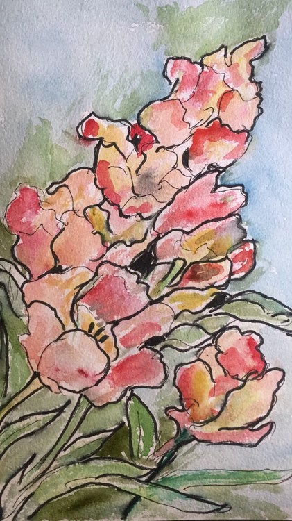 thumbnail IMG 5895